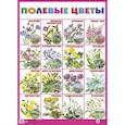 russische bücher:  - Плакат "Полевые цветы"