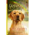 russische bücher: Самарский М.А. - Радуга для друга