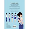 russische bücher: Элен Дрювер - Рождение. Интерактивный атлас с клапанами и резными иллюстрациями