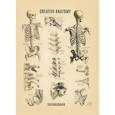 russische bücher:   - Точкабук. Анатомия