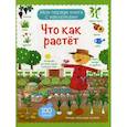 russische bücher: Фелисити Брукс, Кэролайн Янг - Что как растет
