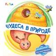 russische bücher: Солнышко Ирина - Чудеса в природе