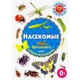 russische bücher:  - Насекомые. Фотокнига для самых маленьких