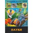 russische bücher: Куруськина Мария - Энциклопедия. Пауки