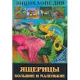 russische bücher: Соколова Людмила - Энциклопедия. Ящерицы большие и маленькие