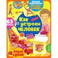 russische bücher: Барсотти Элеонора - Окошко в мир. Как устроен человек