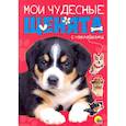 russische bücher:  - БРОШЮРА С НАКЛЕЙКАМИ. МОИ ЧУДЕСНЫЕ ЩЕНЯТА