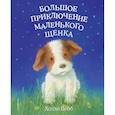 russische bücher: Холли Вебб - Большое приключение маленького щенка (выпуск 1)