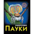 russische bücher: Соколова Людмила - Хочу знать. Пауки