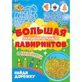 russische bücher: Пятикова Юлия, Кошелев Алексей,Дормидонтова Марина - Большая активити книга лабиринтов. Найди дорожку