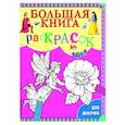 russische bücher:  - Большая книга раскрасок для девочек.