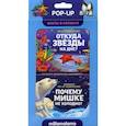 russische bücher:  - Набор «Факты в кармане». Откуда звезды на дне и почему мишке не холодно?