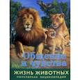 russische bücher: Баголи Илона - Жизнь животных. Общение и чувства