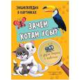 russische bücher: Соколова Л. - Зачем котам усы?