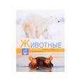 russische bücher:  - Животные
