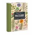 russische bücher: Памела Хикман, Кэролин Гэйвин - Природа вокруг нас: Растения и Деревья (2 книги в 1 томе-перевертыше)