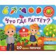 russische bücher: Сачкова Е. - Книжка с липучками "Что где растет?"