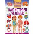 Как устроен человек