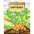 russische bücher: Литвяк Елена Викторовна - Картошка. Машина времени на грядке