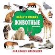 russische bücher: Земченок С.О. - Животные. Фотокнига