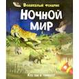 russische bücher: Риган Лиза - Волшебный фонарик. Ночной мир