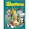 russische bücher:  - Шахматы