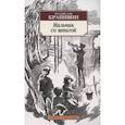 russische bücher: Крапивин В. - Мальчик со шпагой