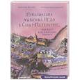 Приключения мышонка Недо в Санкт-Петербурге, или Квест коня Александра Невского. Географические сказки