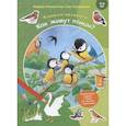 russische bücher: Райхенштеттер Ф. - Как живут птицы? Развивающие задания + более 60 наклеек. 4-6 лет