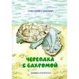 Черепаха с бахромой. Книжка-раскраска