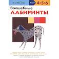 russische bücher:  - Волшебные лабиринты