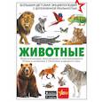 russische bücher: Папуниди Е. А., Ликсо В. В., Барановская И. Г., Кошевар Д. В., Хомич Е. О. - Животные
