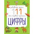 russische bücher: Смирнова Е.В. - Цифры: Забавные уроки. Мои первые прописи