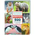 russische bücher:  - Большая энциклопедия о животных. 500 фотографий и фактов