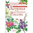 russische bücher: Пескова И.М. - Деревья и кустарники России. Определитель