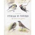 russische bücher: Васильева А. - Птицы в городе. Где найти и как узнать