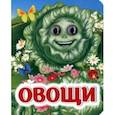 russische bücher: Панасюк И. С. - Овощи