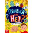 russische bücher: Соколова Ю. - Правда или нет? Тело человека