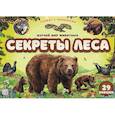 russische bücher:  - Плакат с окошками. Секреты леса