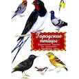 russische bücher:  - Дидактические карточки. Городские птицы