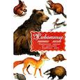 russische bücher:  - Дидактические карточки. Животные наших лесов