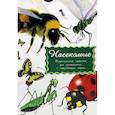 russische bücher:  - Дидактические карточки. Насекомые