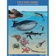 russische bücher: Николаева С. - Кто в море живет