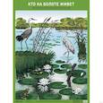 russische bücher: Николаева С. - Кто на болоте живет. Экологическое вопитание