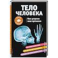 russische bücher: Кристи Вагнер - Тело человека. Как устроен наш организм