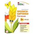 russische bücher: Блохина Мария С. - Прописи-картинки. Растения. ФГОС ДО