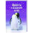 russische bücher:  - Чудеса в полярную ночь