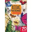 russische bücher:  - Атлас насекомых