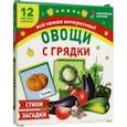 russische bücher:  - Овощи с грядки. 12 цветных карточек. Стихи и загадки. ФГОС ДО