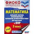 russische bücher: Воробьёв В.В. - Математика. Большой сборник тренировочных вариантов проверочных работ для подготовки к ВПР. 5 класс
